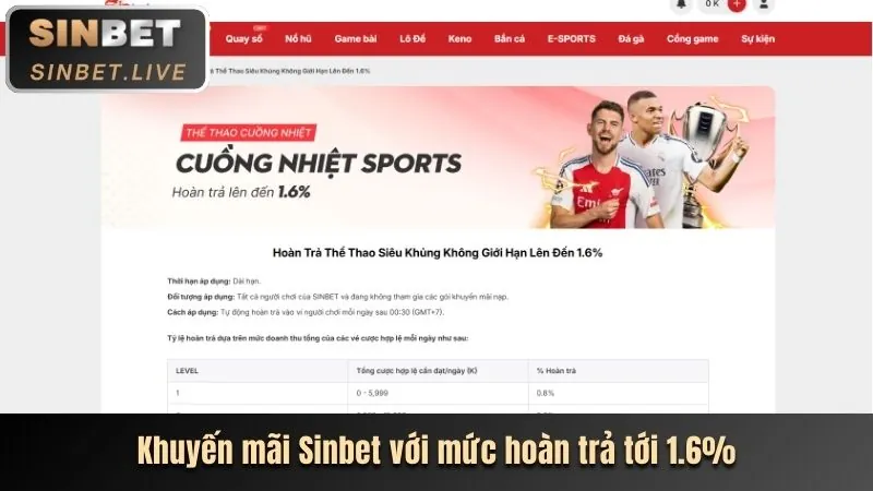 Hướng dẫn bắt đầu cá cược thể thao